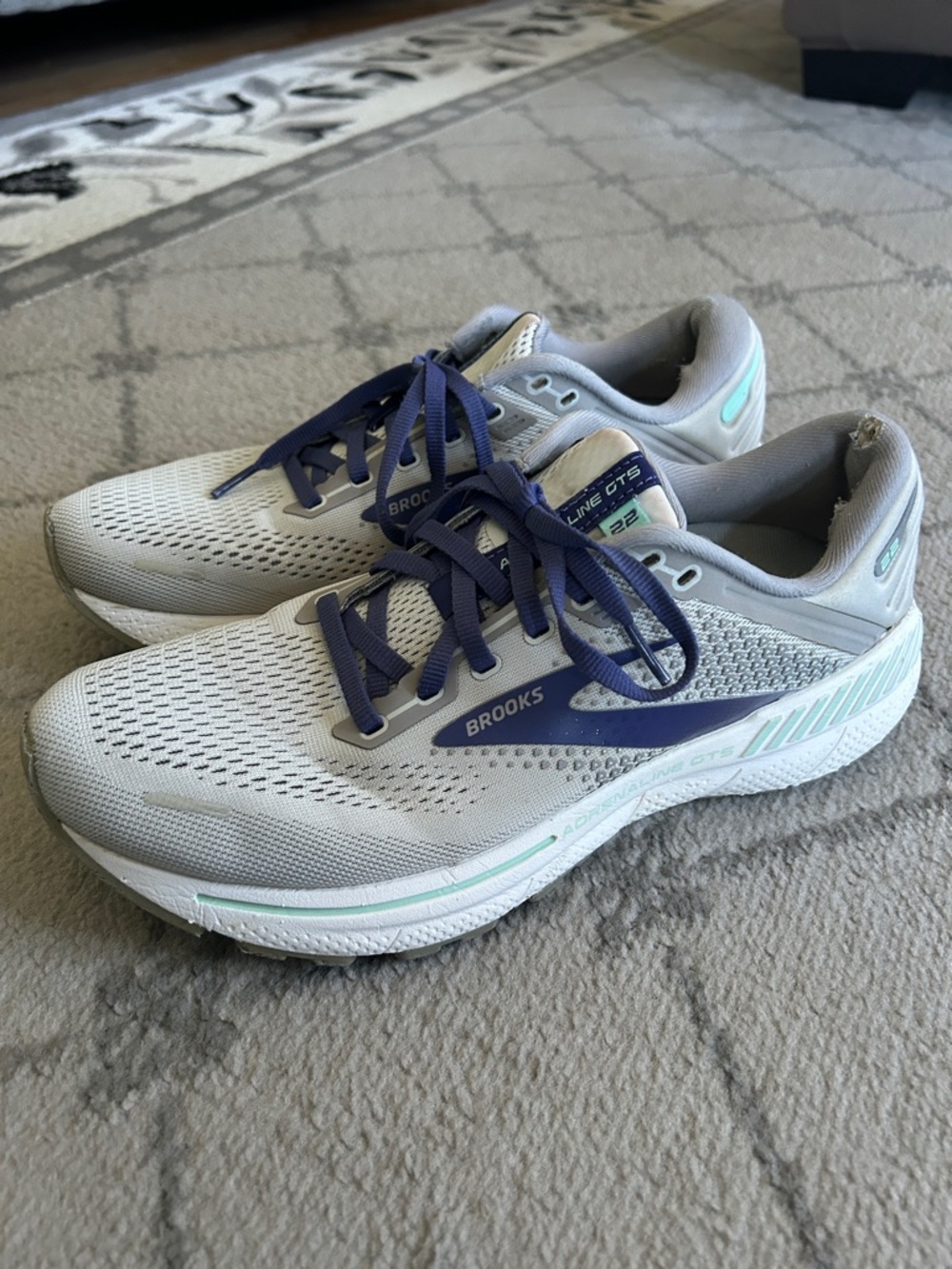 Brooks Women’s Adrenaline GTS 22 10.5 Narrow